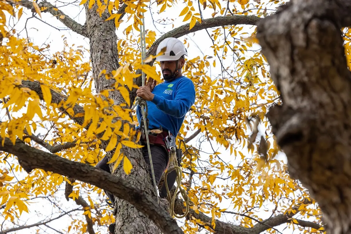 Skilled Storm Damage Cleanup crew working in Tuskahoma