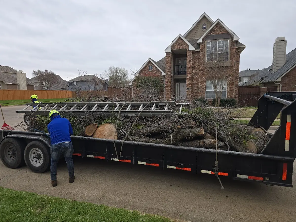 Expert Tree Removal with proper safety equipment in Tuskahoma
